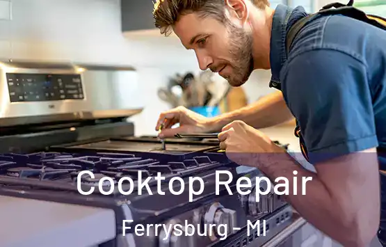  Cooktop Repair Ferrysburg - MI