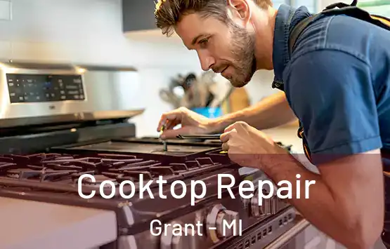  Cooktop Repair Grant - MI