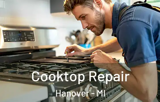  Cooktop Repair Hanover - MI