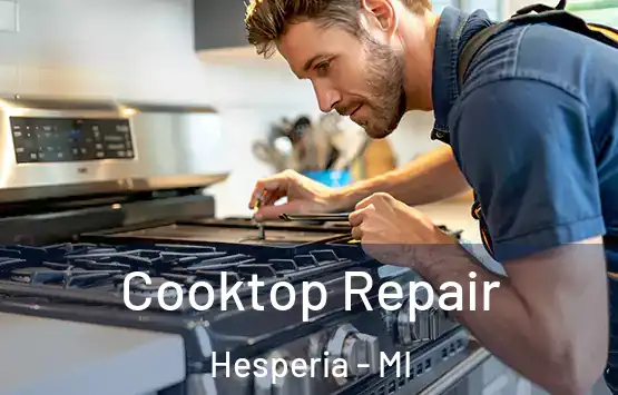  Cooktop Repair Hesperia - MI