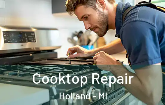  Cooktop Repair Holland - MI