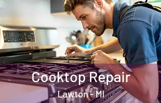  Cooktop Repair Lawton - MI
