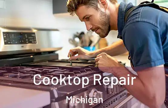  Cooktop Repair Michigan