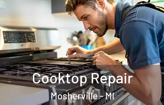  Cooktop Repair Mosherville - MI