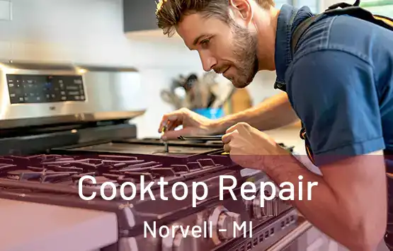  Cooktop Repair Norvell - MI