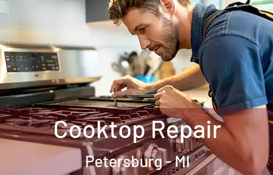  Cooktop Repair Petersburg - MI