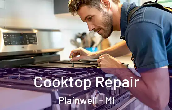 Cooktop Repair Plainwell - MI
