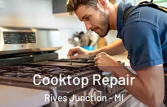  Cooktop Repair Rives Junction - MI