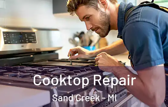  Cooktop Repair Sand Creek - MI