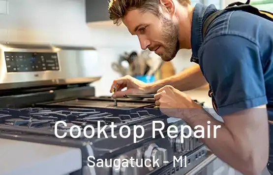  Cooktop Repair Saugatuck - MI
