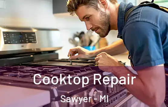  Cooktop Repair Sawyer - MI