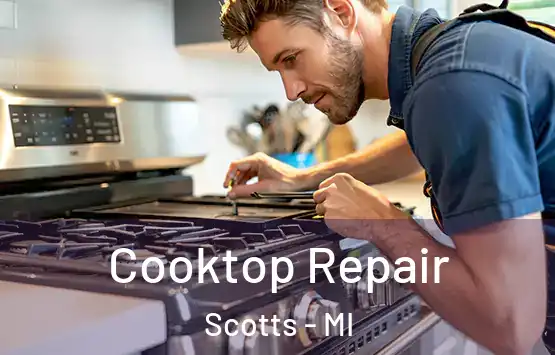  Cooktop Repair Scotts - MI