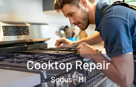  Cooktop Repair Sodus - MI