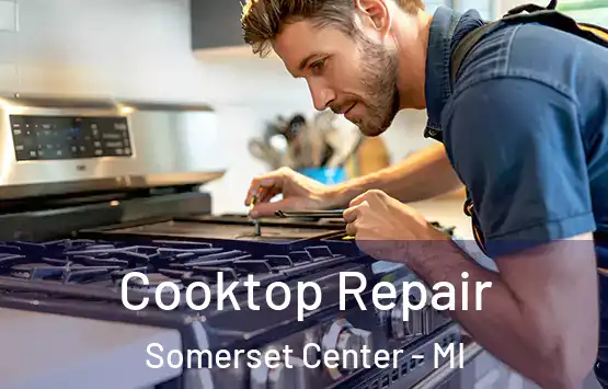  Cooktop Repair Somerset Center - MI