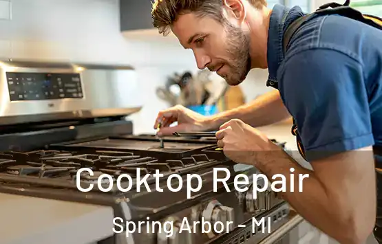  Cooktop Repair Spring Arbor - MI