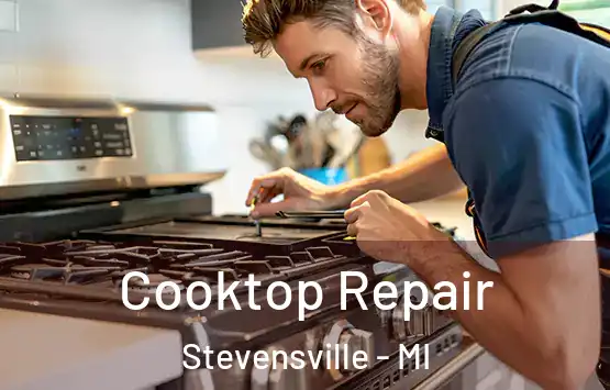  Cooktop Repair Stevensville - MI