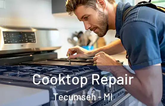  Cooktop Repair Tecumseh - MI