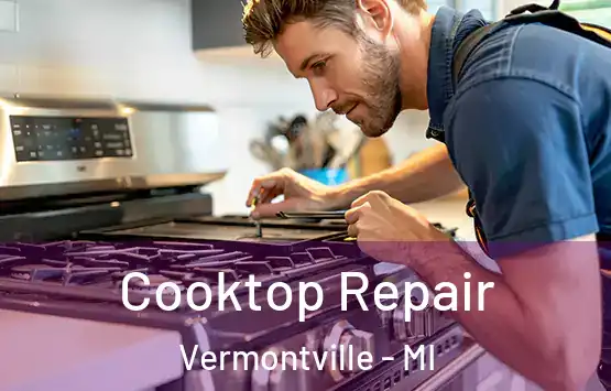  Cooktop Repair Vermontville - MI