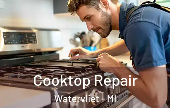  Cooktop Repair Watervliet - MI