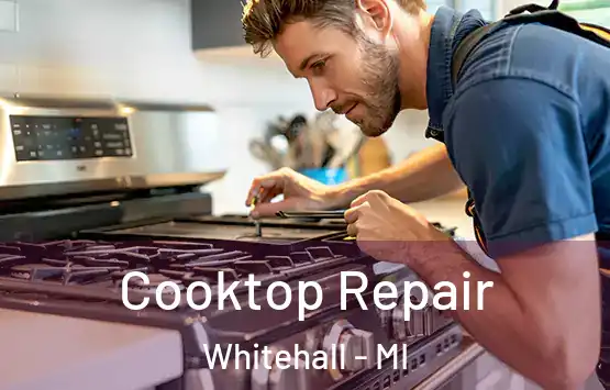  Cooktop Repair Whitehall - MI