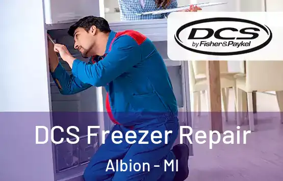  DCS Freezer Repair Albion - MI