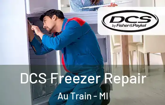  DCS Freezer Repair Au Train - MI