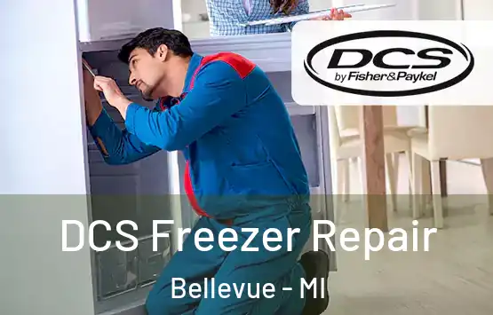  DCS Freezer Repair Bellevue - MI