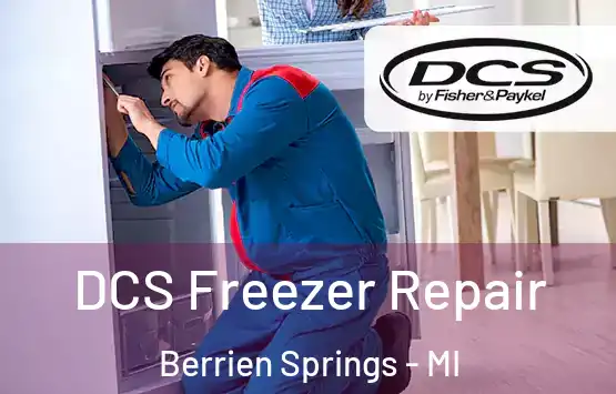  DCS Freezer Repair Berrien Springs - MI
