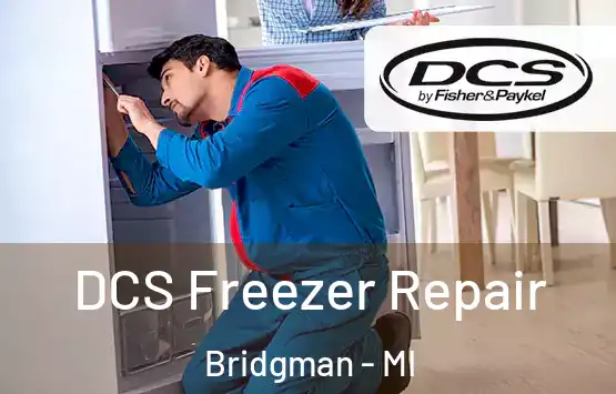  DCS Freezer Repair Bridgman - MI