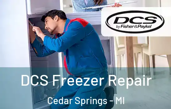  DCS Freezer Repair Cedar Springs - MI