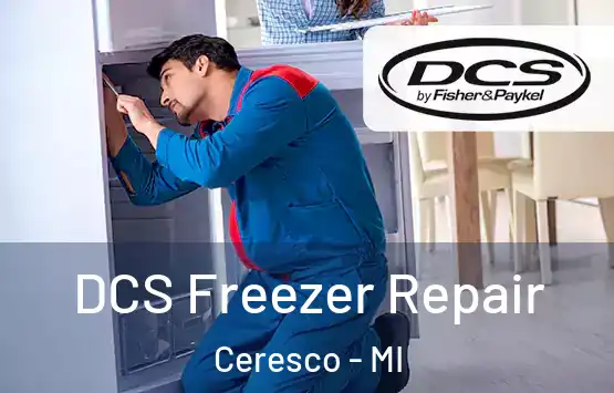  DCS Freezer Repair Ceresco - MI