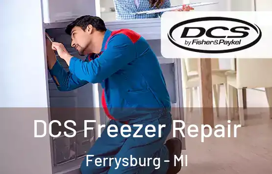  DCS Freezer Repair Ferrysburg - MI