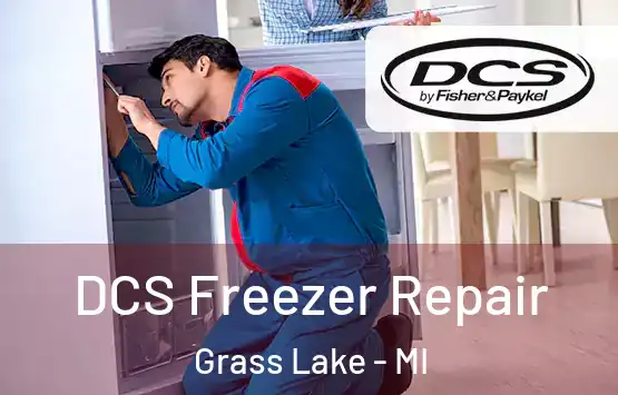  DCS Freezer Repair Grass Lake - MI