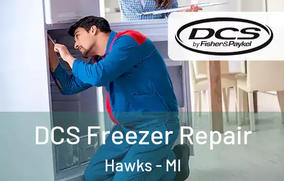  DCS Freezer Repair Hawks - MI