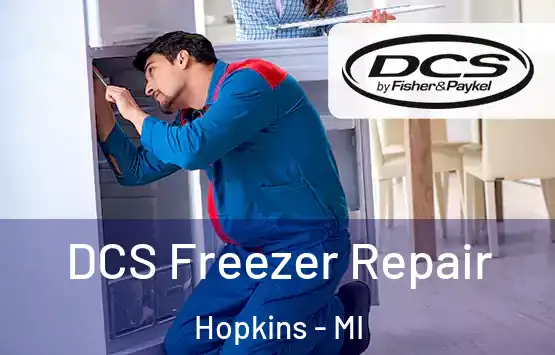  DCS Freezer Repair Hopkins - MI