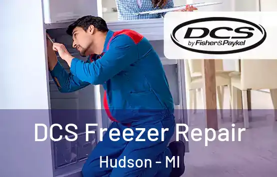 DCS Freezer Repair Hudson - MI