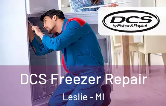  DCS Freezer Repair Leslie - MI