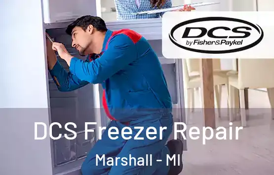  DCS Freezer Repair Marshall - MI