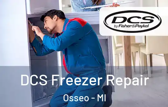  DCS Freezer Repair Osseo - MI