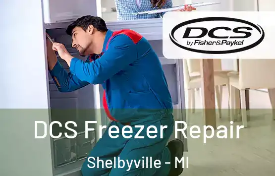  DCS Freezer Repair Shelbyville - MI
