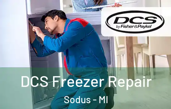  DCS Freezer Repair Sodus - MI
