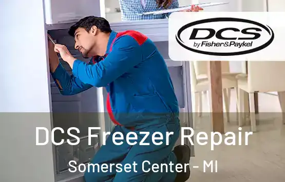  DCS Freezer Repair Somerset Center - MI