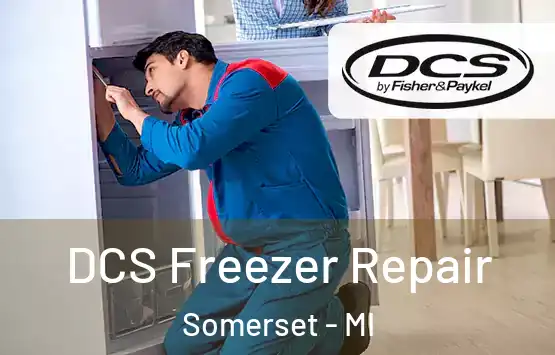  DCS Freezer Repair Somerset - MI