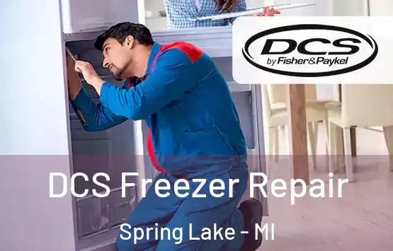  DCS Freezer Repair Spring Lake - MI