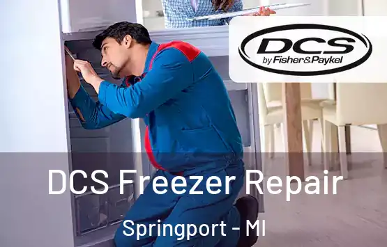  DCS Freezer Repair Springport - MI