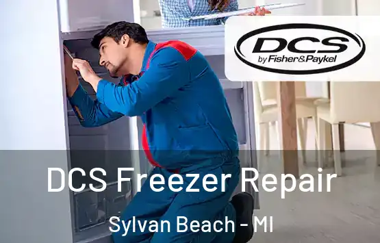  DCS Freezer Repair Sylvan Beach - MI
