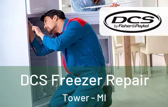  DCS Freezer Repair Tower - MI