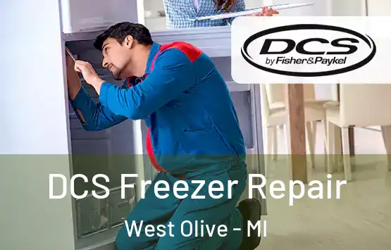  DCS Freezer Repair West Olive - MI