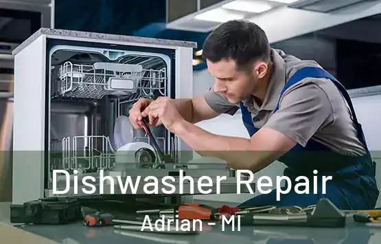  Dishwasher Repair Adrian - MI