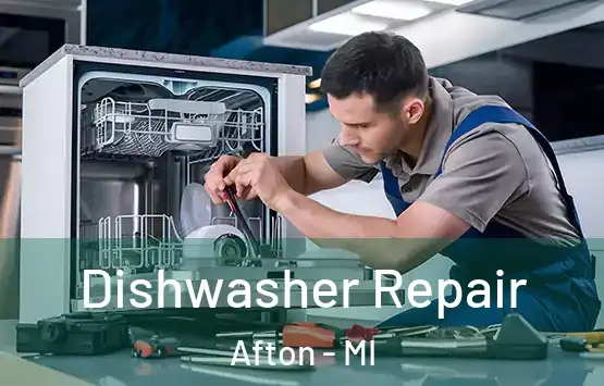  Dishwasher Repair Afton - MI